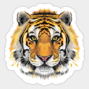 Tiger Sticker